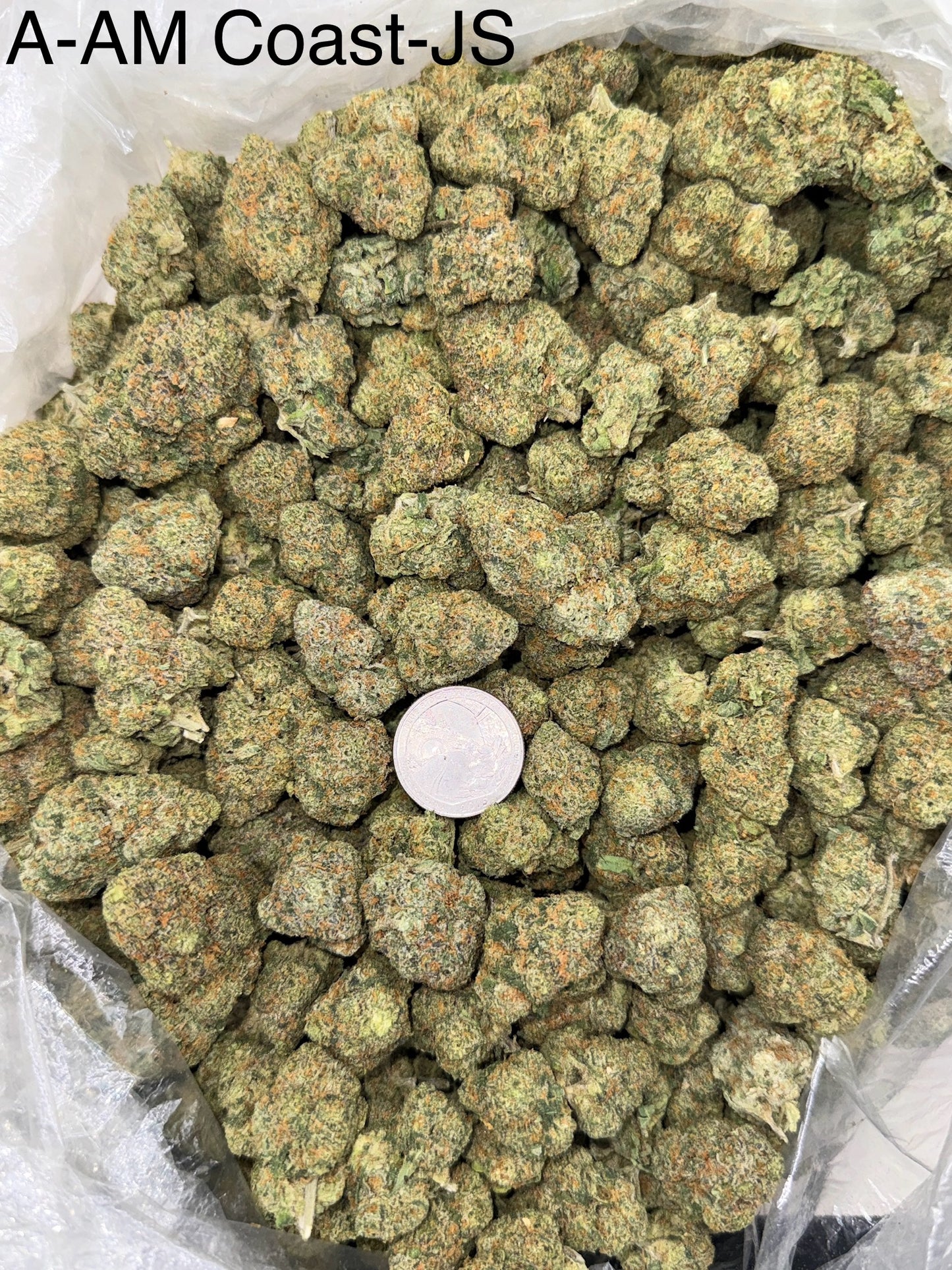 AM Coast – Bulk THCa Flower | Tier 2