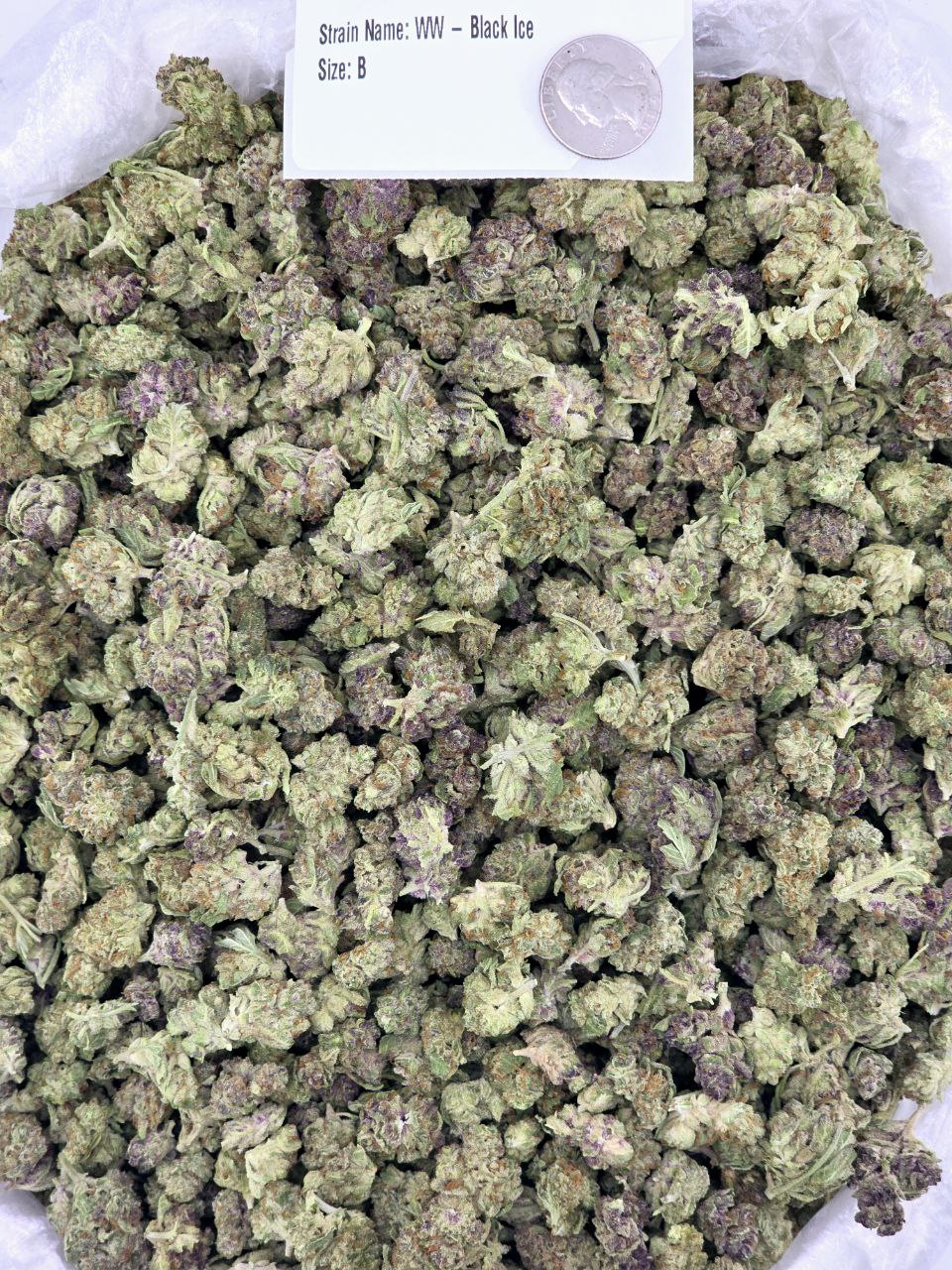 Black Ice – Bulk THCa Flower | *Sale*