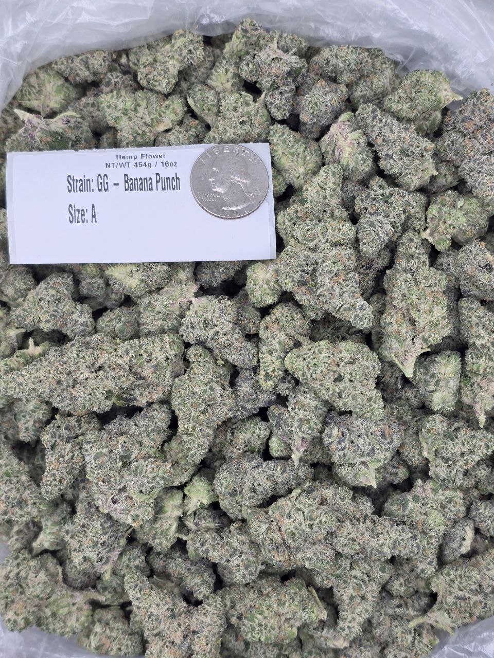 Banana Punch β Bulk THCa Flower | Tier 1