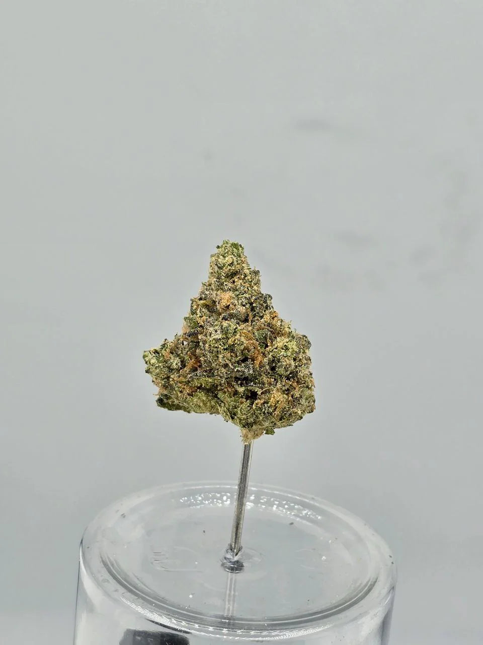 Candyland Krush – Bulk THCa Flower | Tier 1