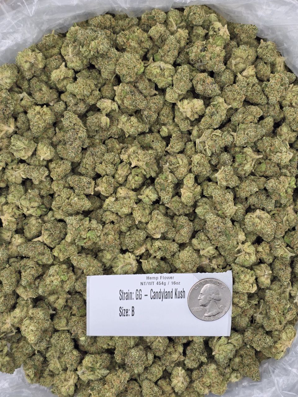 Candyland Krush – Bulk THCa Flower | Tier 1