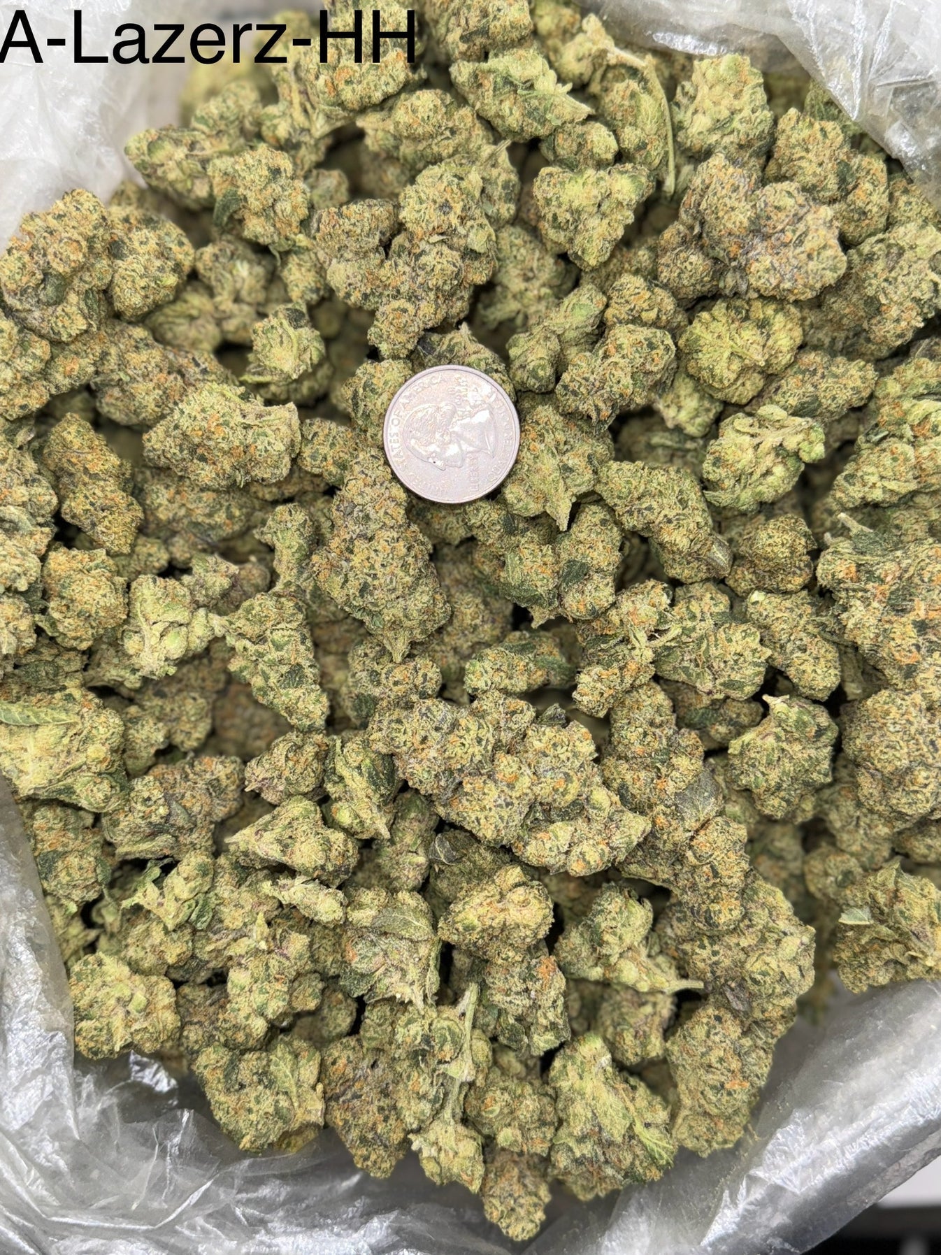 Lazerz – Bulk THCa Flower | Tier 1