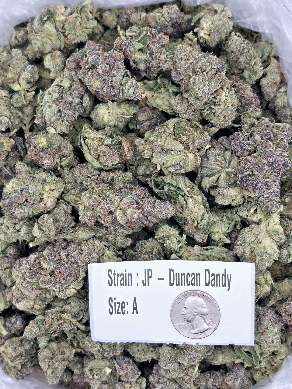 Duncan Dandy – Bulk THCa Flower | Tier 3