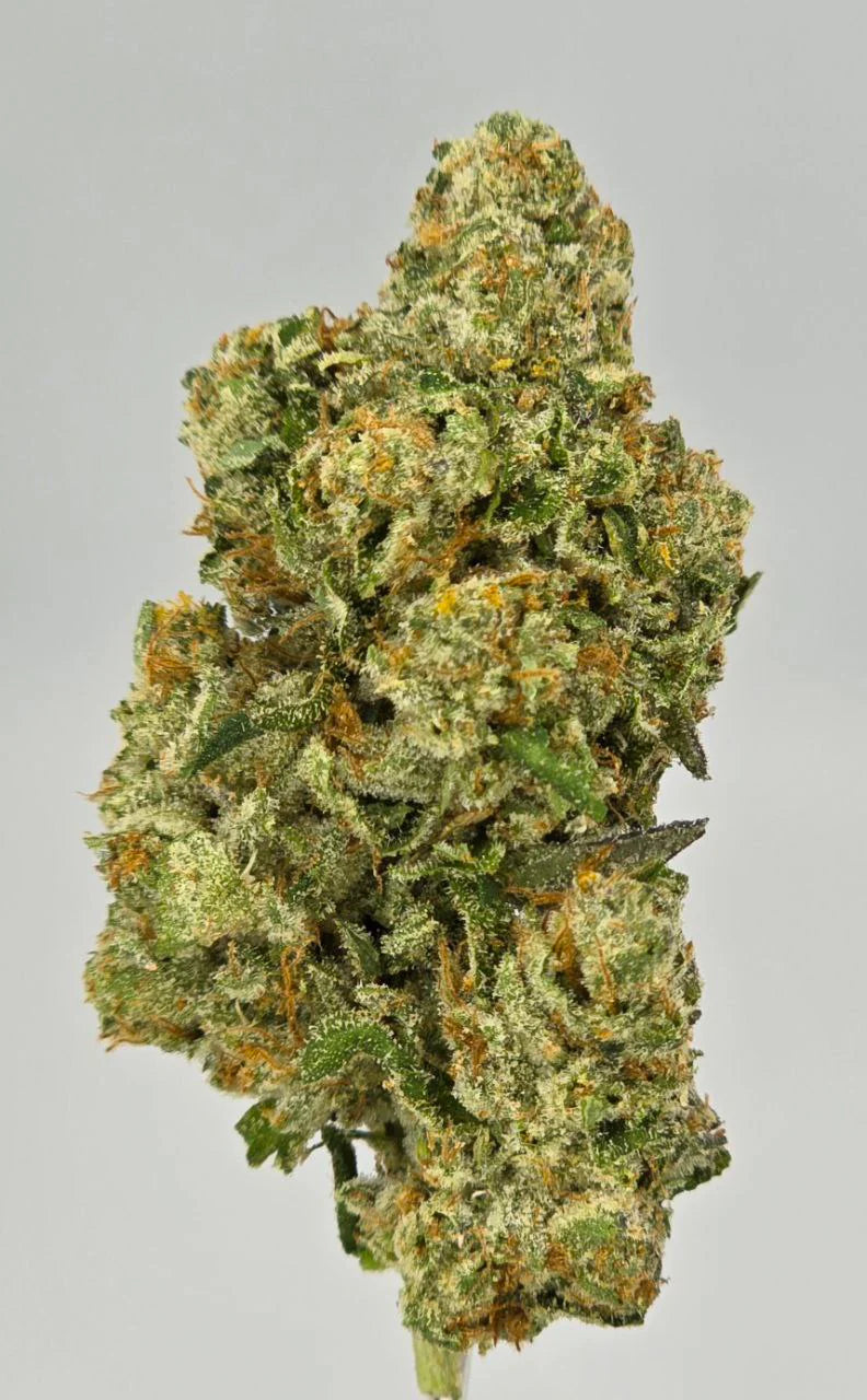 Zkittlez – Bulk THCa Flower | Tier 3