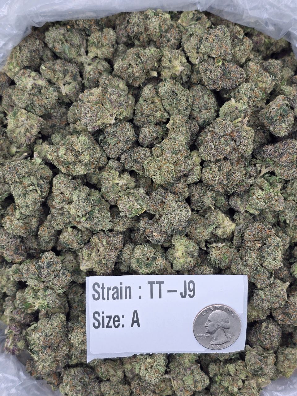 J9 – Bulk THCa Flower | Tier 2