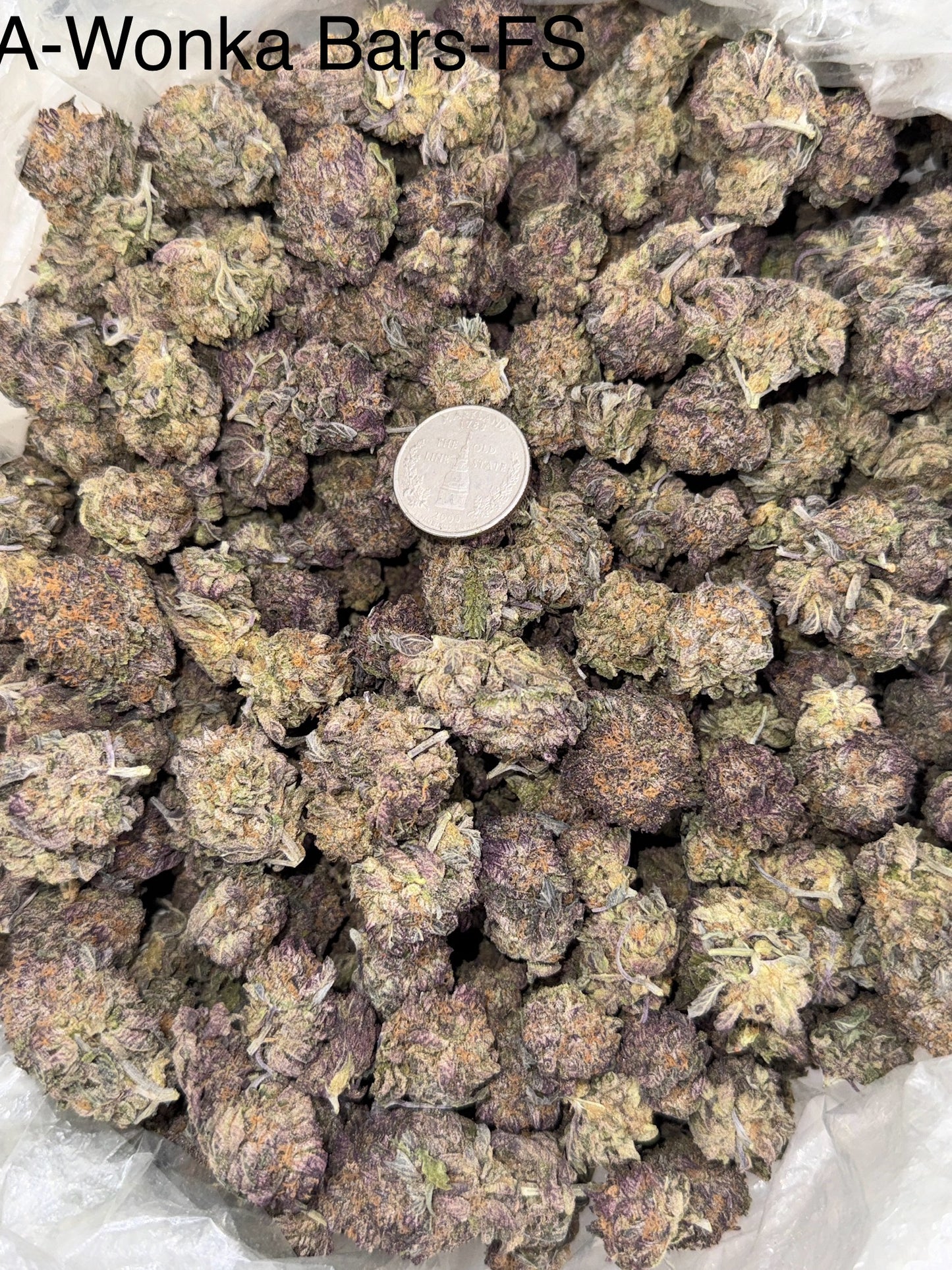 Wonka Bars – Bulk THCa Flower | Tier 5