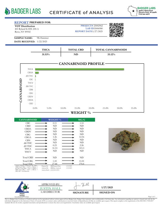 9lb Hammer – Bulk THCa Flower | Tier 1