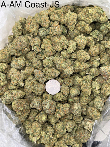 AM Coast – Bulk THCa Flower | Tier 2