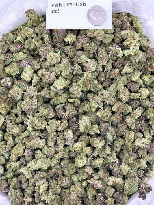 Black Ice – Bulk THCa Flower | *Sale*