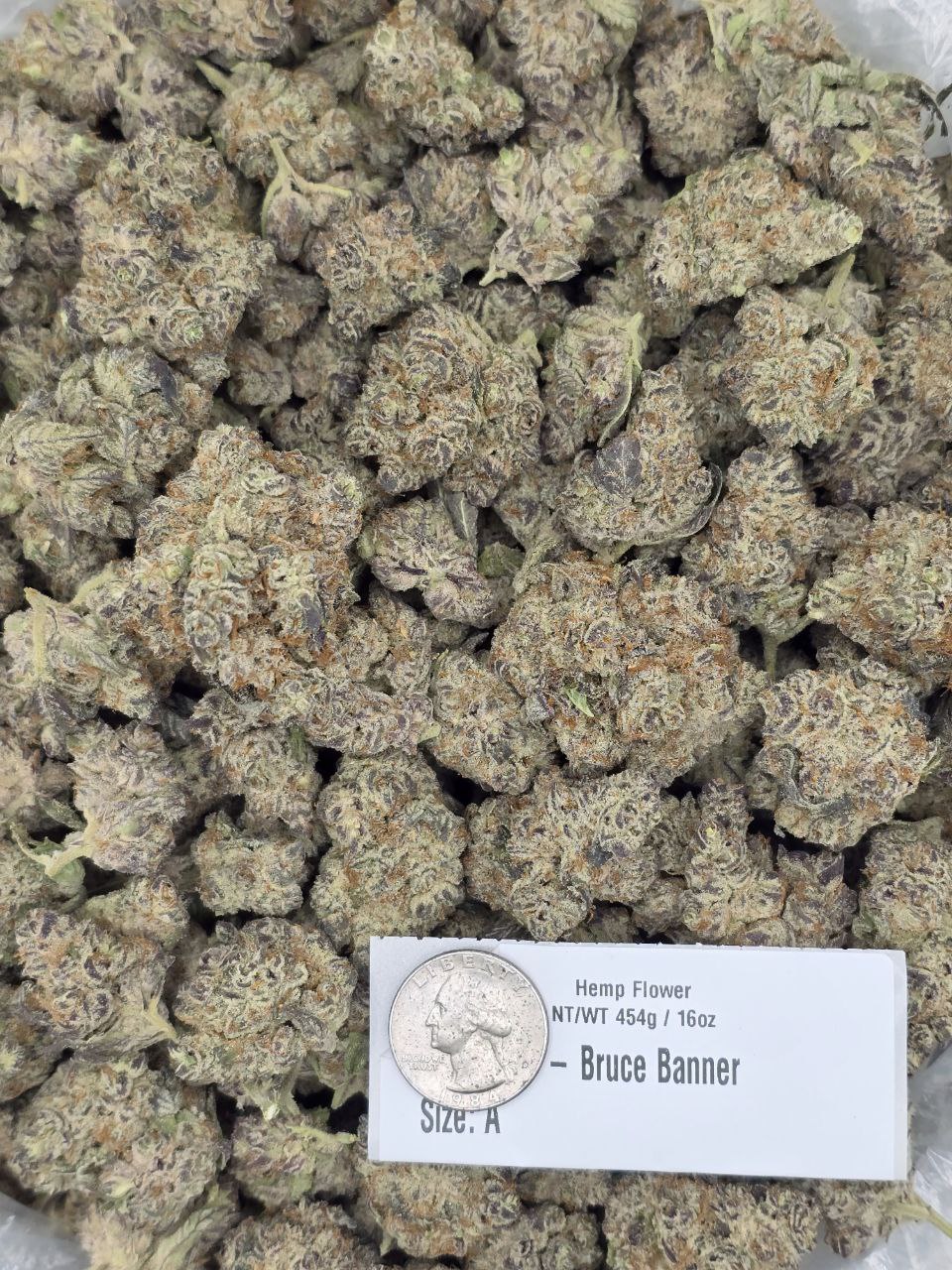 Bruce Banner – Bulk THCa Flower | Tier 1