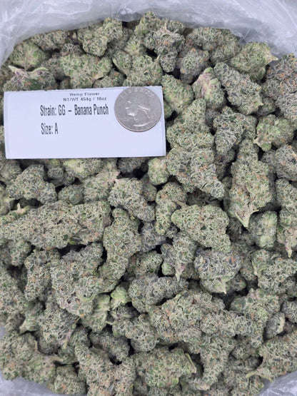 Banana Punch – Bulk THCa Flower | Tier 1