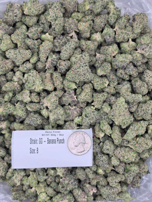 Banana Punch – Bulk THCa Flower | Tier 1