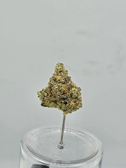 Candyland Krush – Bulk THCa Flower | Tier 1