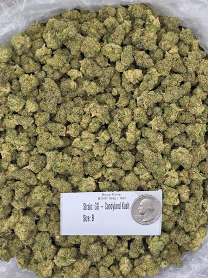 Candyland Krush – Bulk THCa Flower | Tier 1