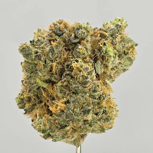 OG Kush x Blueberry – Bulk THCa Flower | Tier 1