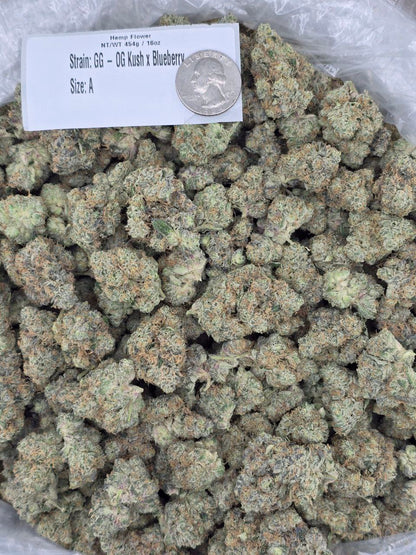 OG Kush x Blueberry – Bulk THCa Flower | Tier 1