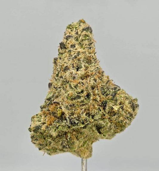 Sunset Gelato  – Bulk THCa Flower | Tier 1