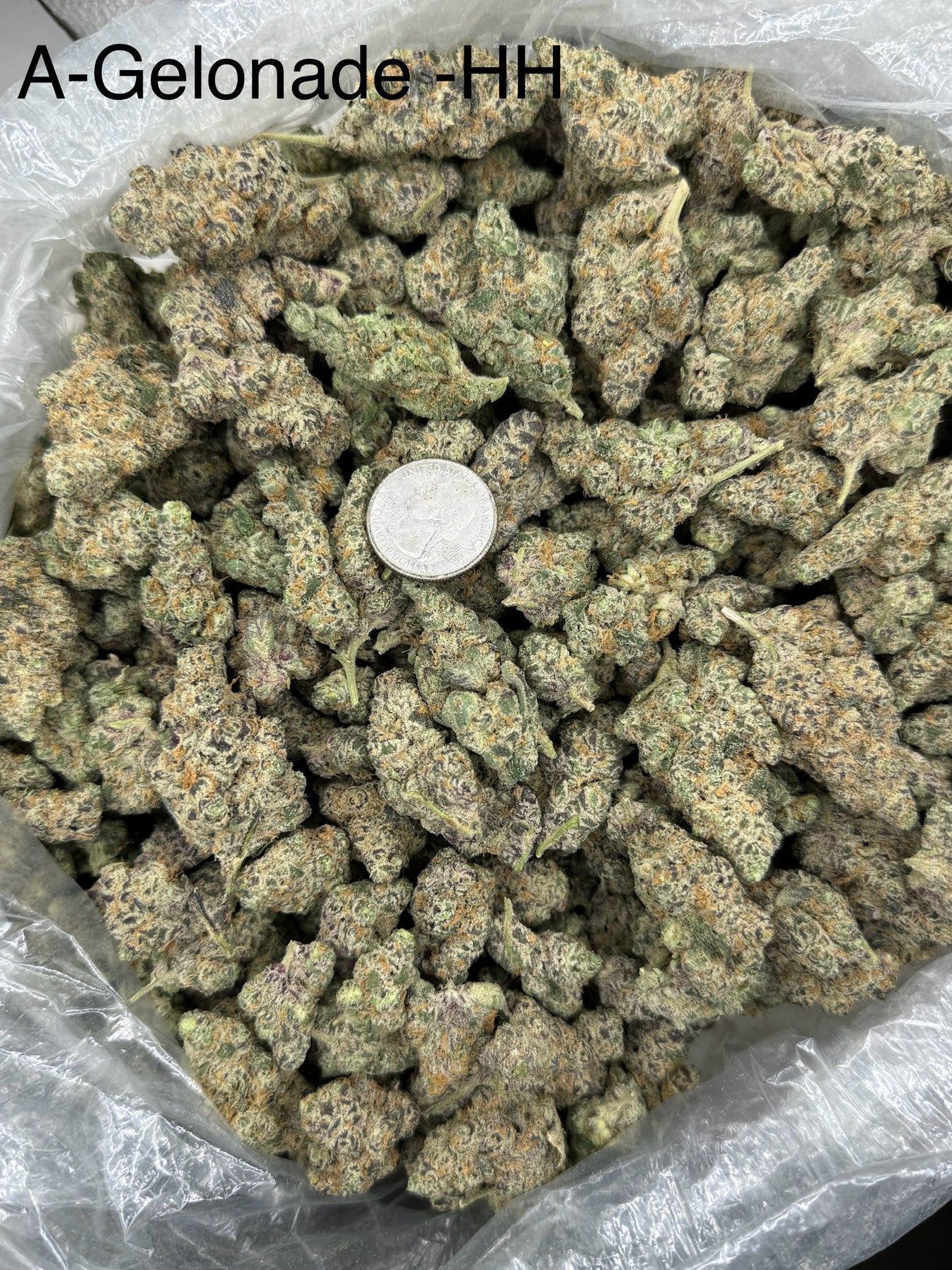 Drippin – Bulk THCa Flower | Tier 1