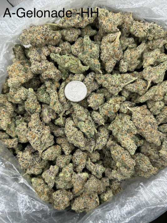 Drippin – Bulk THCa Flower | Tier 1