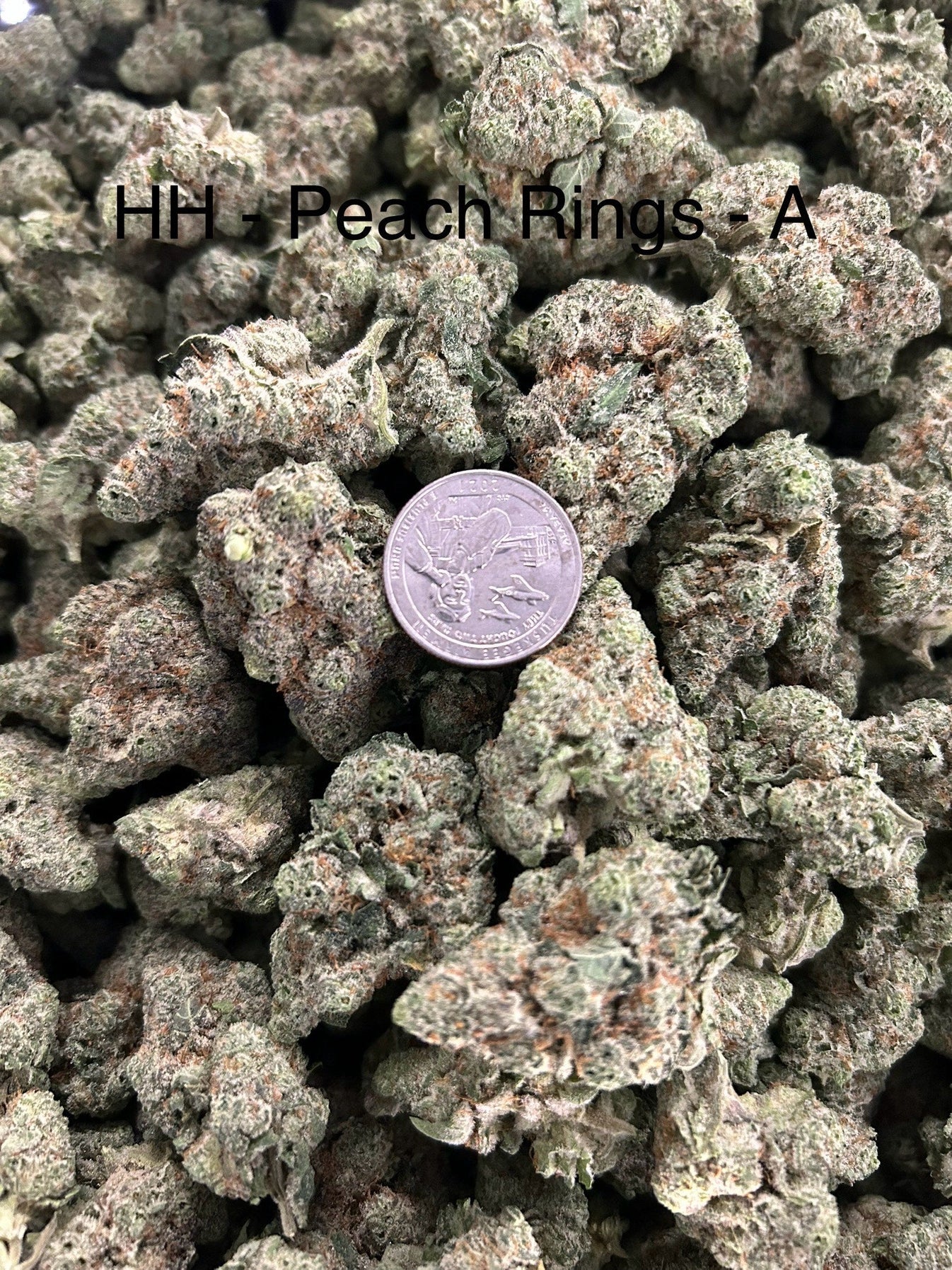 Peach Rings – Bulk THCa Flower | Tier 1