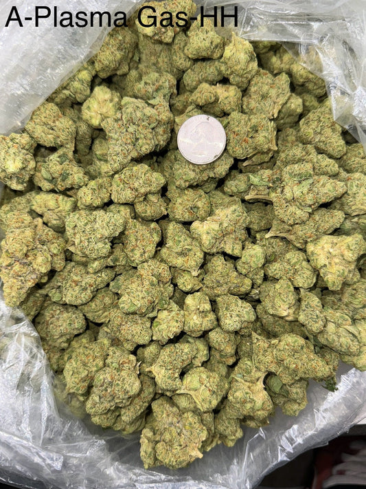 Plasma Gas – Bulk THCa Flower | Tier 1