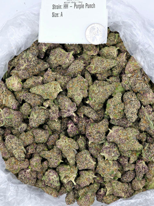 Purple Punch – Bulk THCa Flower | Tier 1