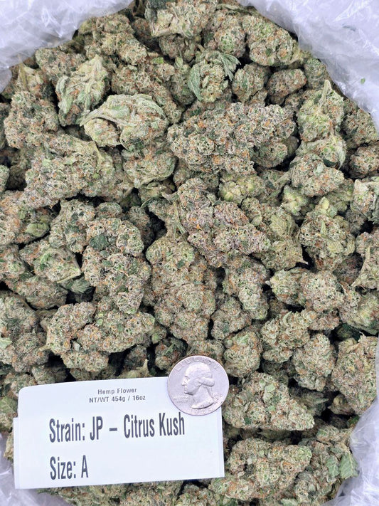 Citrus Kush – Bulk THCa Flower | Tier 3