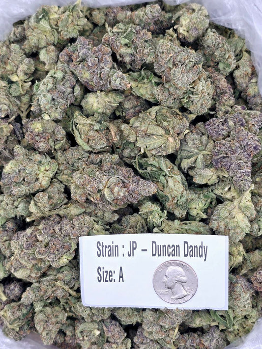 Duncan Dandy – Bulk THCa Flower | Tier 3