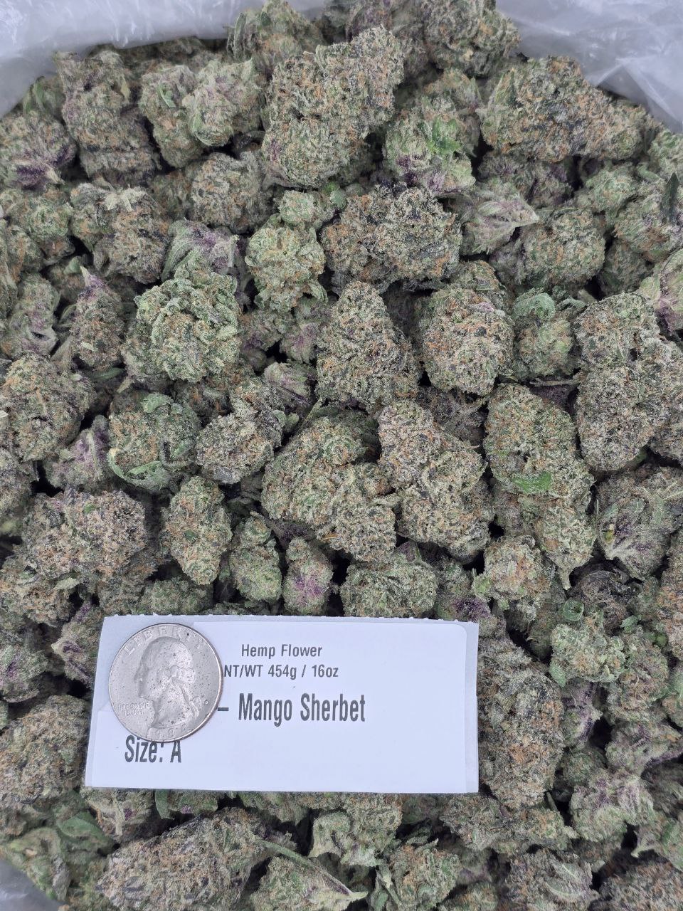 Mango Sherbet  – Bulk THCa Flower | Tier 2