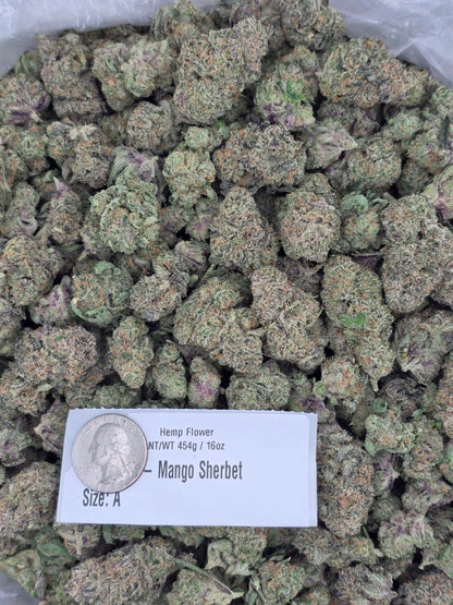 Mango Sherbet  – Bulk THCa Flower | Tier 2