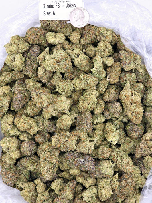 Keisha – Bulk THCa Flower | Tier 5