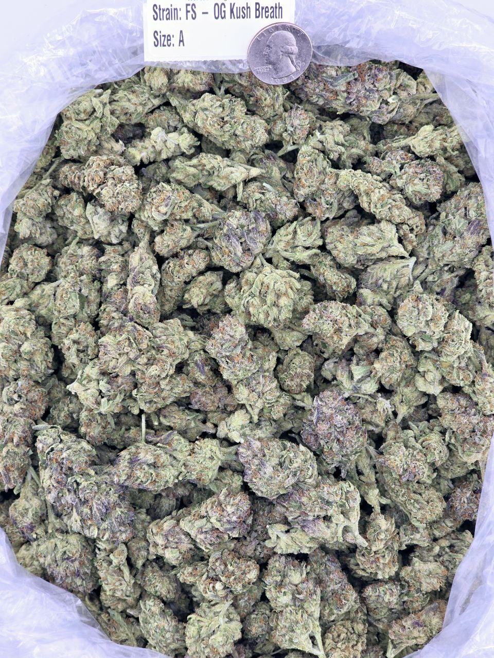 OG Kush Breath – Bulk THCa Flower | Tier 5