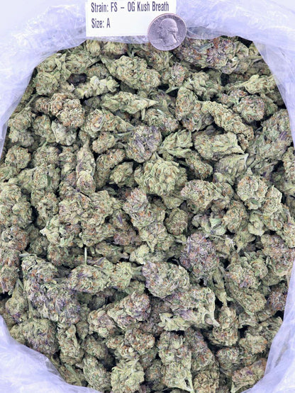 OG Kush Breath – Bulk THCa Flower | Tier 5