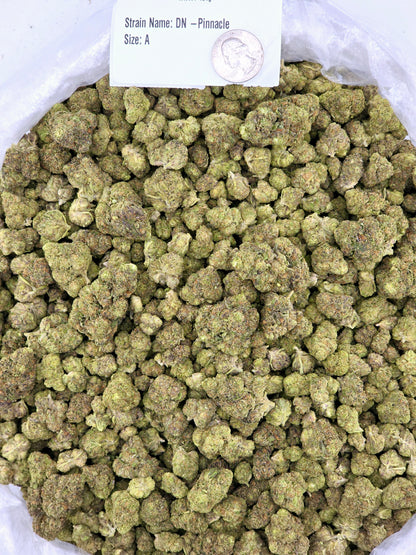 Pinnacle – Bulk THCa Flower | *Sale*