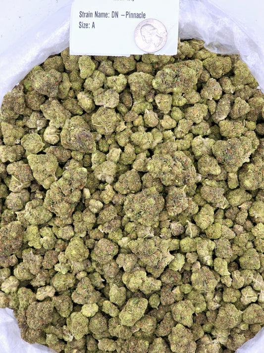 Pinnacle – Bulk THCa Flower | *Sale*