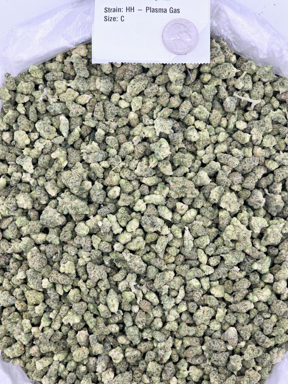 Plasma Gas – Bulk THCa Flower | *Sale*