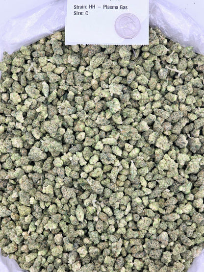 Plasma Gas – Bulk THCa Flower | *Sale*