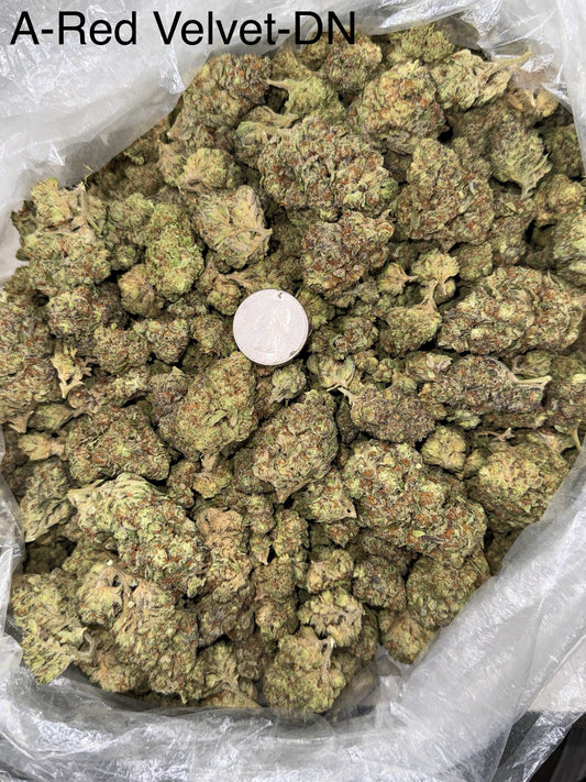 Red Velvet – Bulk THCa Flower | *Sale*