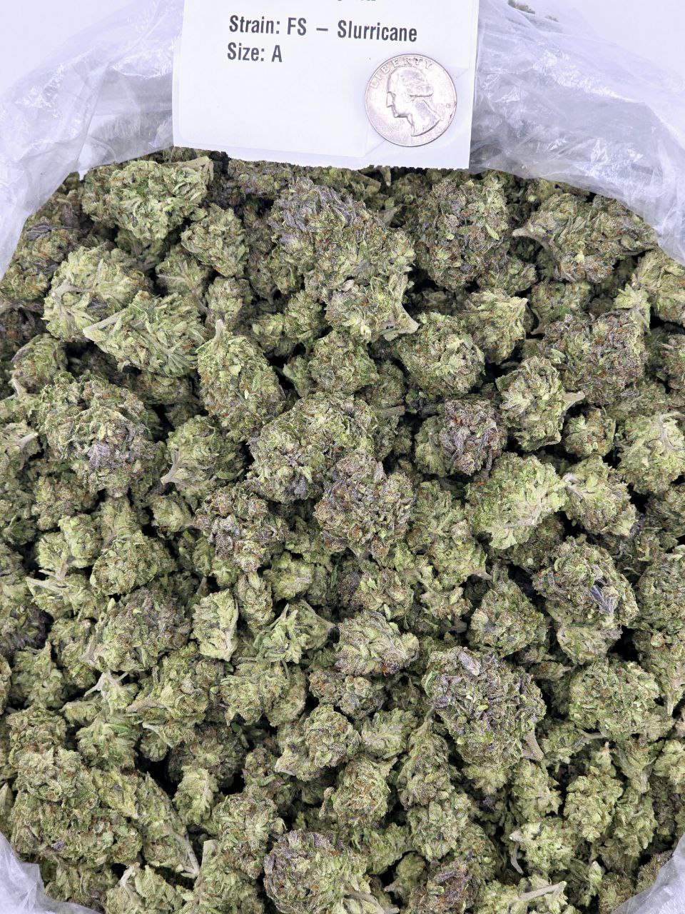 Slurricane – Bulk THCa Flower | Tier 5