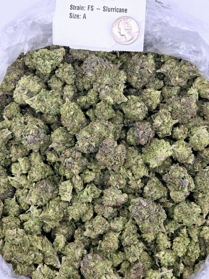 Slurricane – Bulk THCa Flower | Tier 5