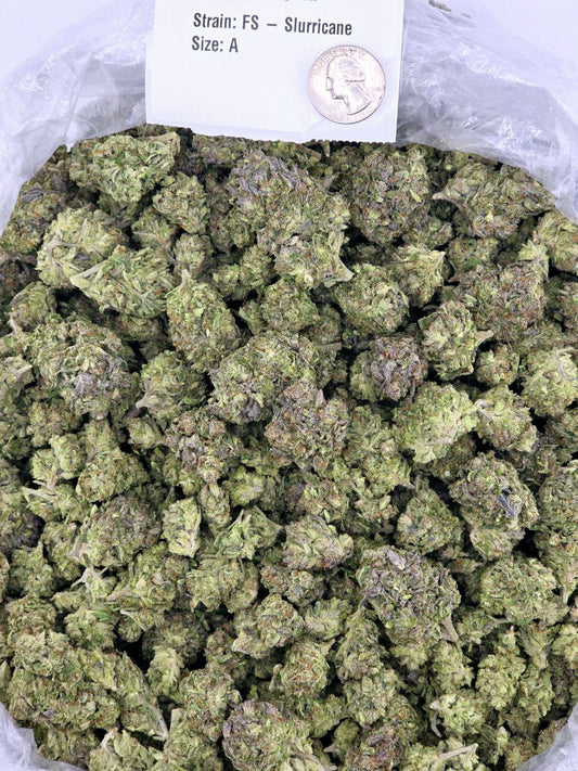 Slurricane – Bulk THCa Flower | Tier 5