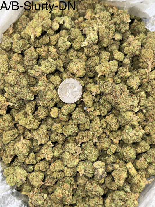 Slurty – Bulk THCa Flower | *Sale*