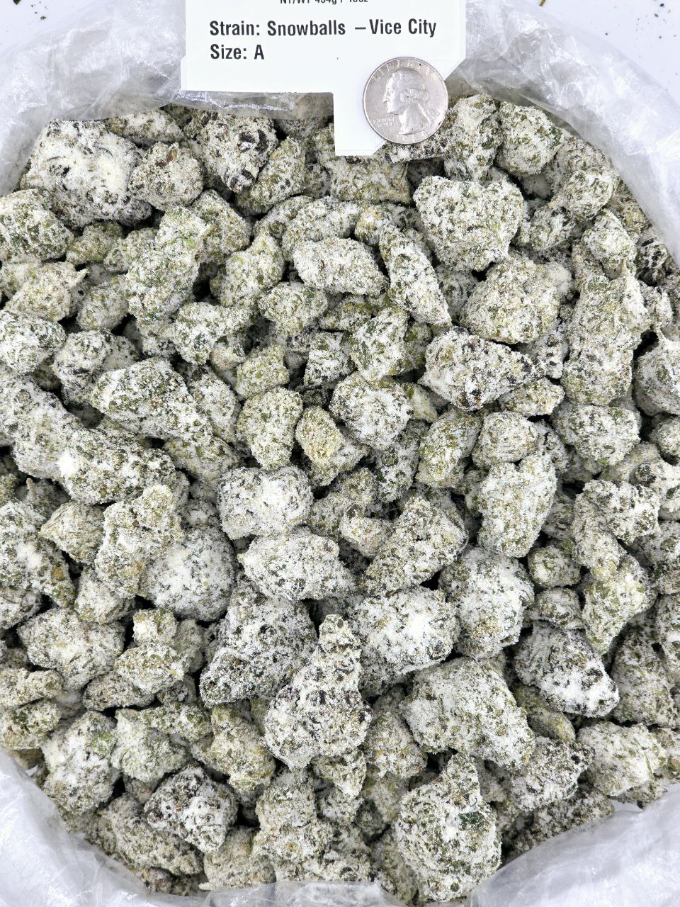 Snowballs - Alien Dawg