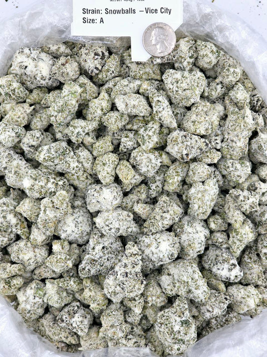 Snowballs - Alien Dawg