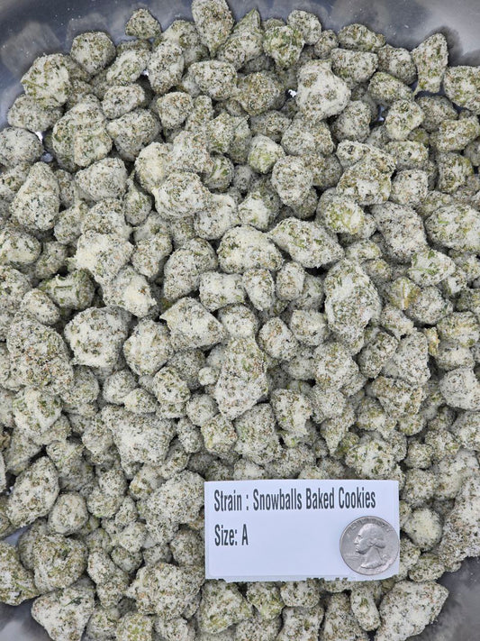 Baked Cookies - Snowballs
