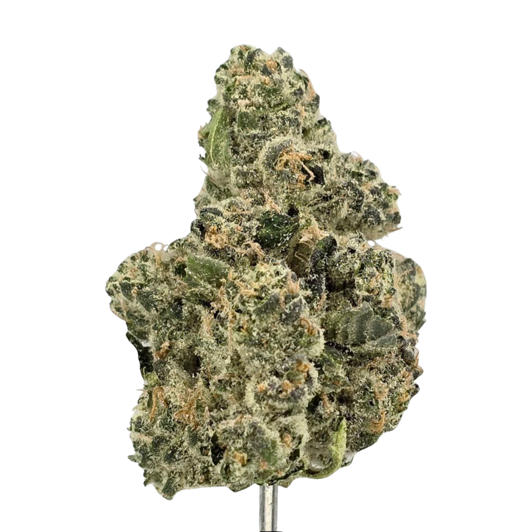 Banana Punch – Bulk THCa Flower | Tier 1
