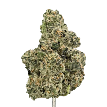 Banana Punch – Bulk THCa Flower | Tier 1