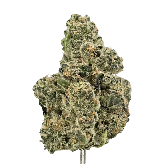Banana Punch – Bulk THCa Flower | Tier 1