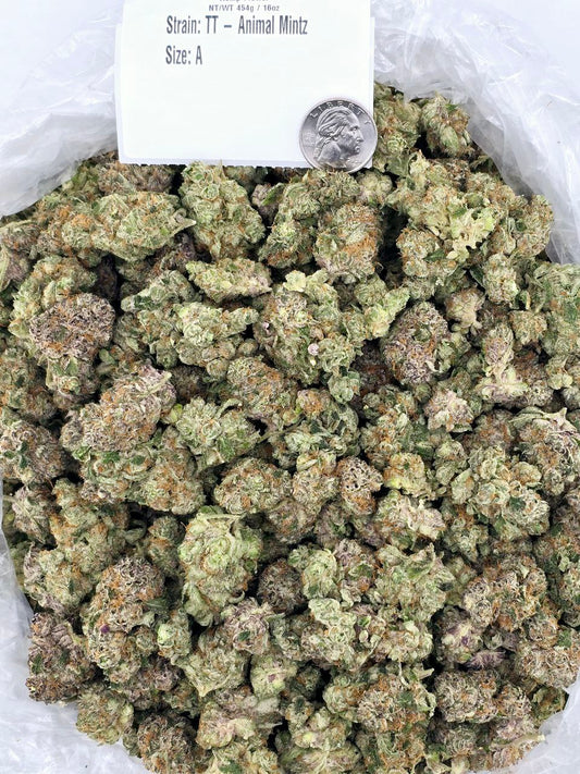Tahoe OG – Bulk THCa Flower | Tier 2
