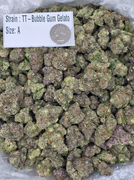 ZaZa – Bulk THCa Flower | Tier 2